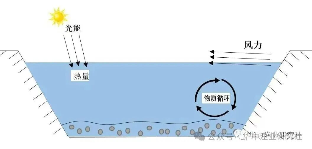 1767757755943499.jpg 0a48812d988f071eb588c148201751a1.jpg