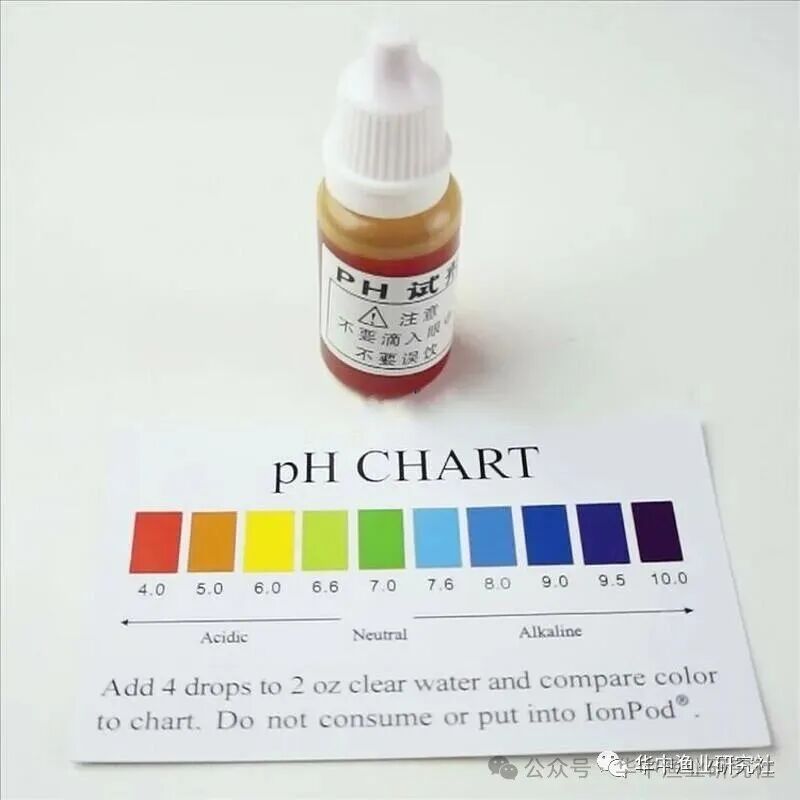 1767757788329909.jpg bafcec91461c2a9c0d94bdda58cd679a.jpg