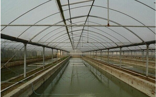 1767939741424644.png 1.png