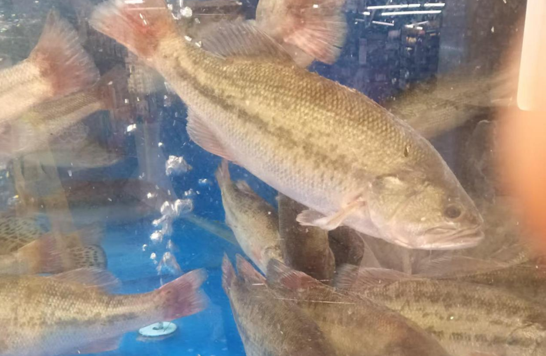 1767939764285309.png 2.png