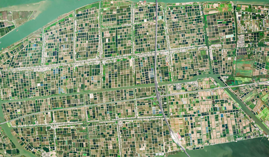 1768442415986840.png 2.png