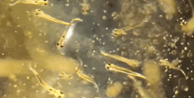 1768442909192686.jpg 3.jpg