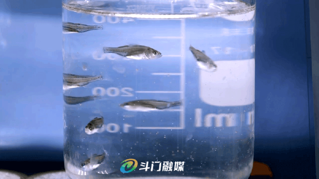 1768442943272570.jpg 4.jpg