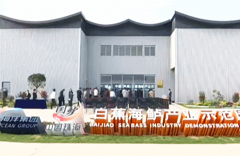 1768442964233414.jpg 5.jpg