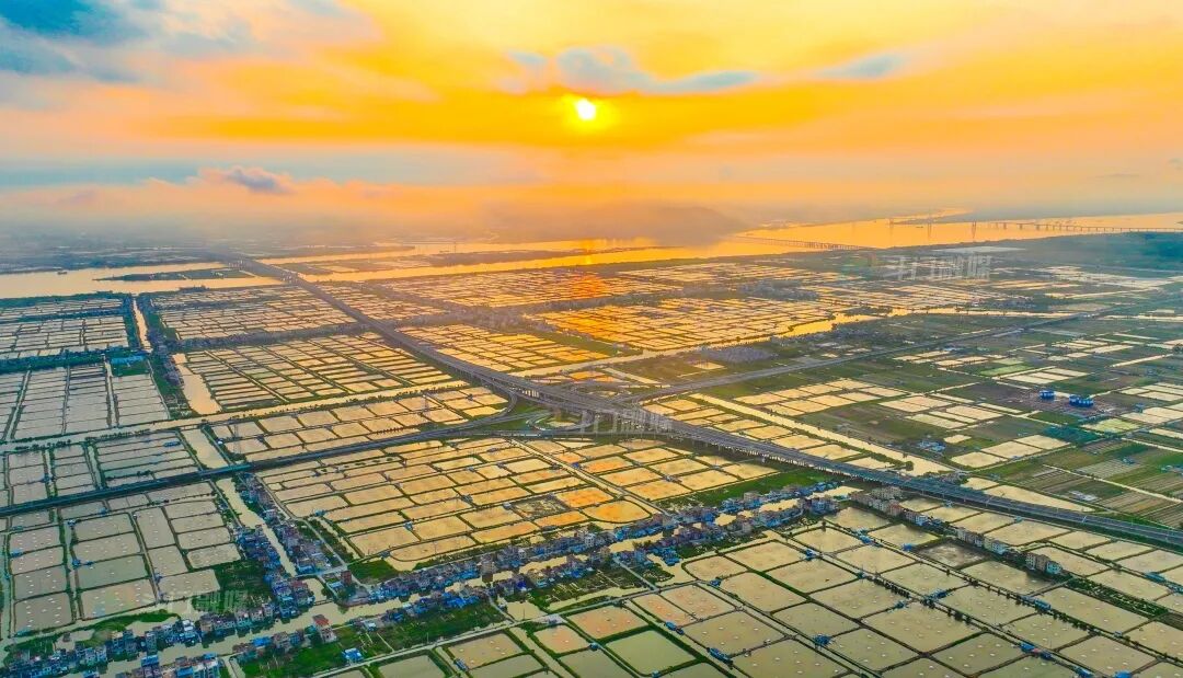 1768443156670367.jpg 7.jpg