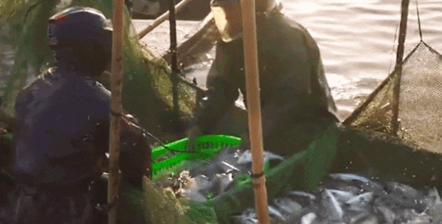 1768443217237321.jpg 9.jpg