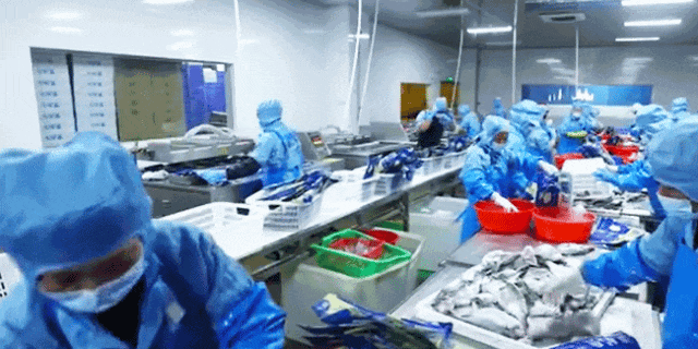 1768443323344719.jpg 12.jpg