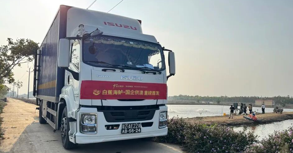 1768443555672788.png 19.png