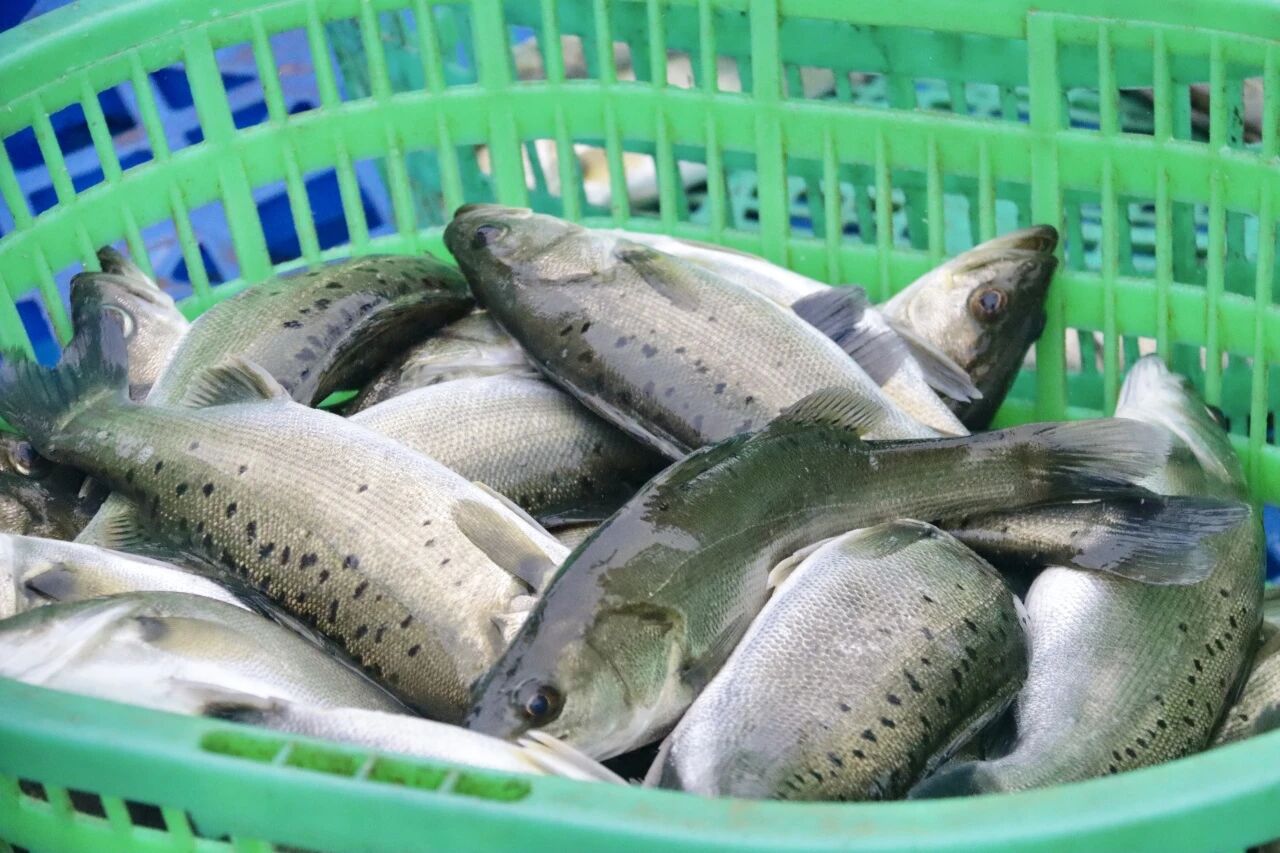 1768443597124500.jpg 21.jpg