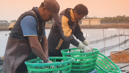 1768443763437279.jpg 27.jpg