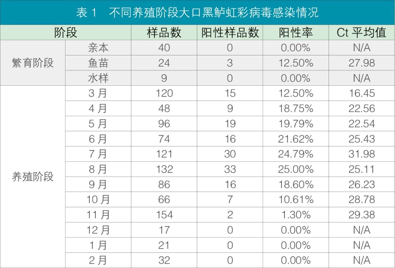 1768531062188743.jpg 1.jpg