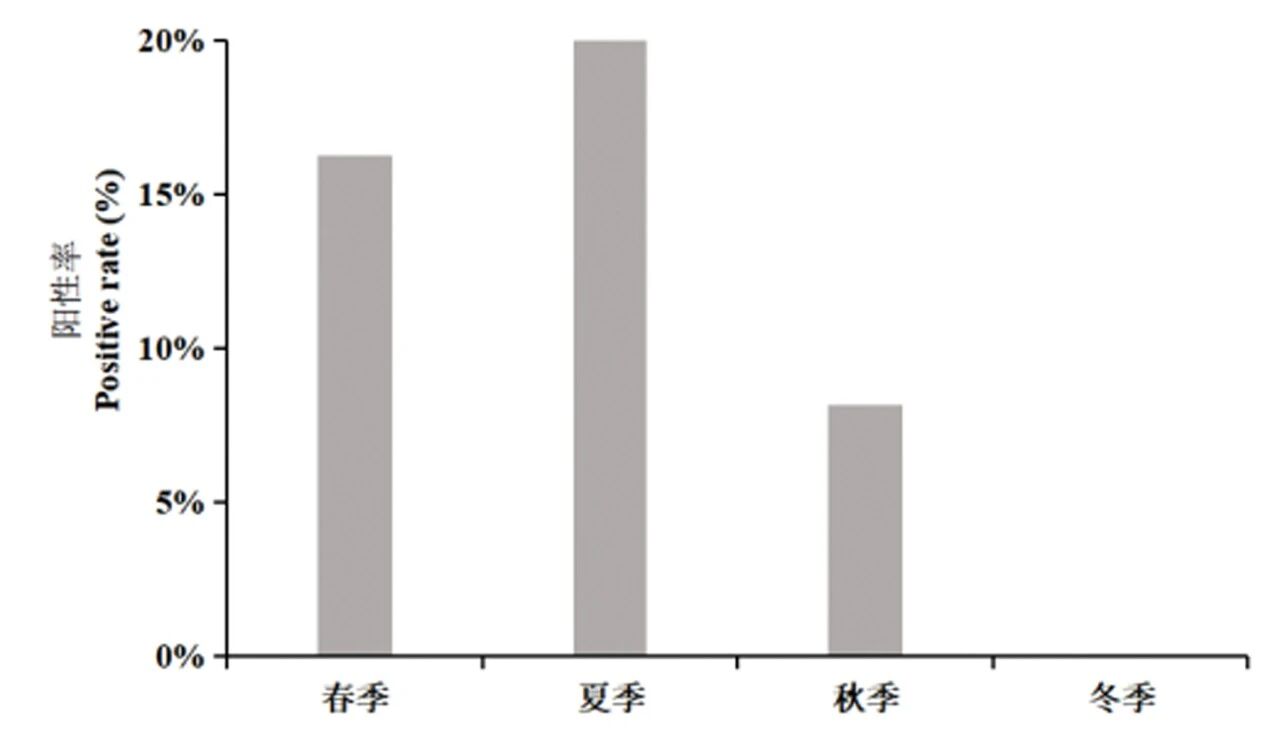 1768531090403047.jpg 2.jpg