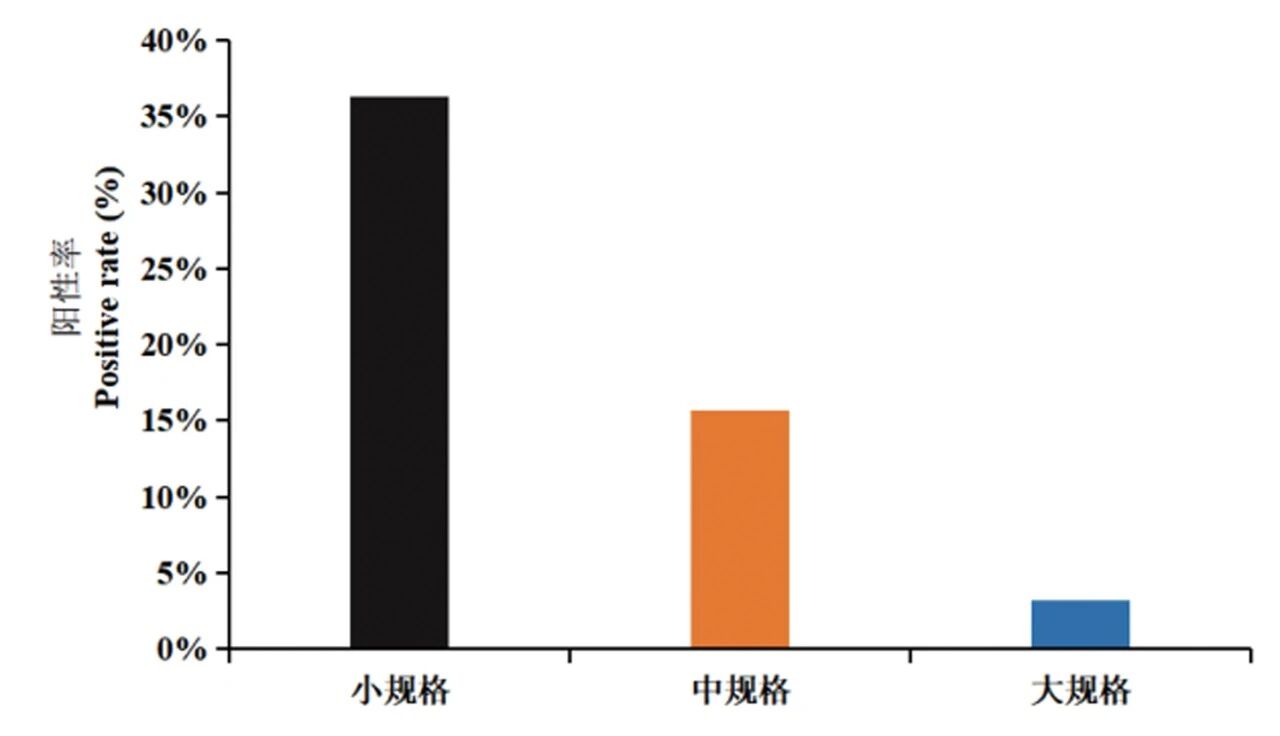 1768531104721531.jpg 3.jpg