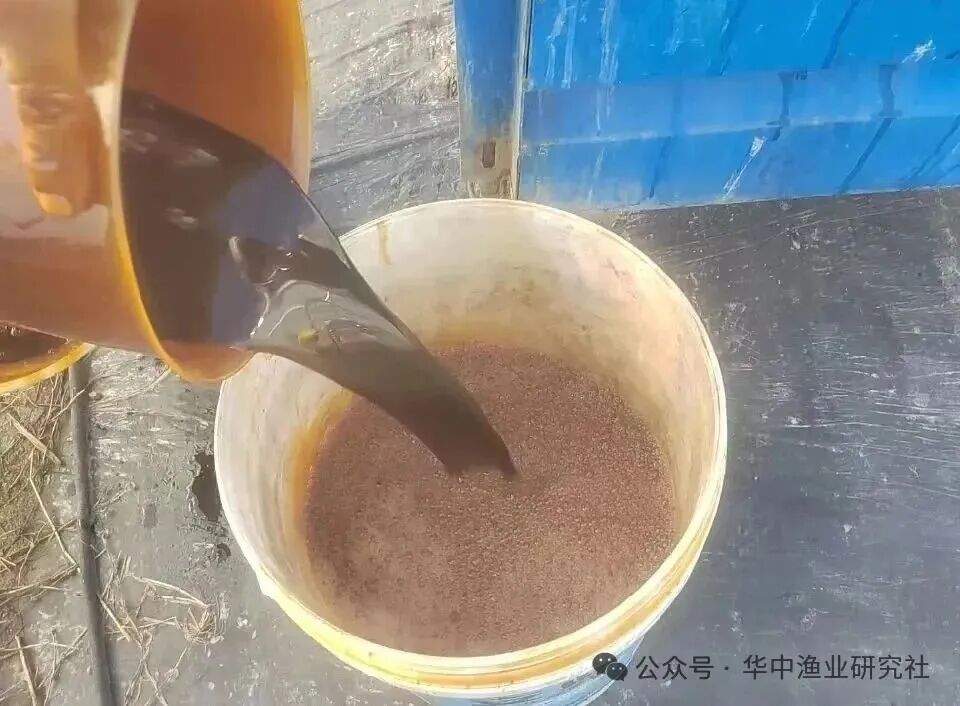 1768877818344242.jpg 6.jpg