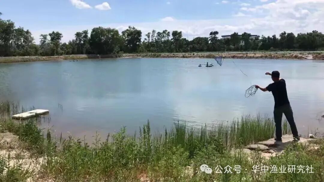 1768877871647842.jpg 8.jpg