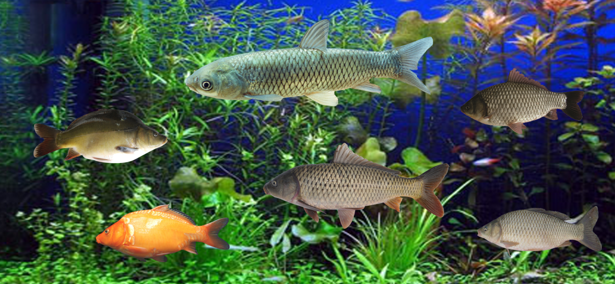 1769135875478555.png 1.png