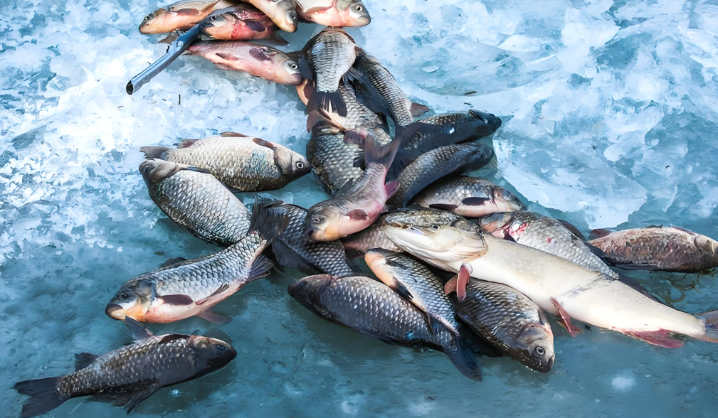 1769135920816168.png 2.png