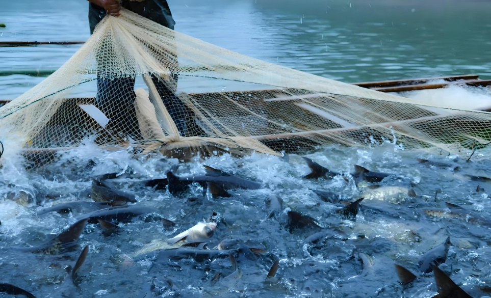 1769135948956655.png 3.png