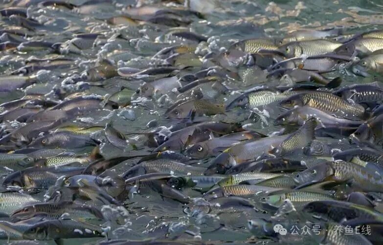 1769391904510091.jpg 1.jpg