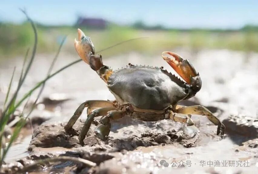 1769570737322869.jpg 2.jpg