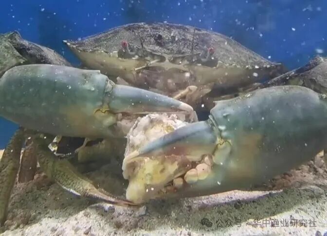 1769570827956082.jpg 4.jpg