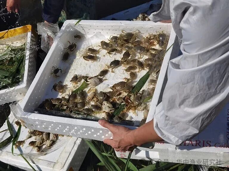 1769570982459241.jpg 6.jpg