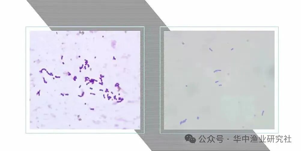 1775805053119896.jpg 微信图片_2026-04-10_150949_086.jpg