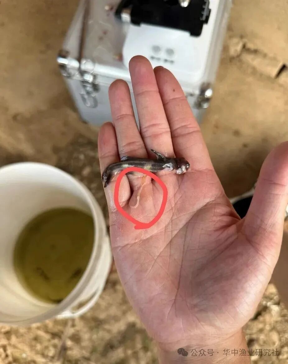 1775805115205987.jpg 微信图片_2026-04-10_151008_497.jpg