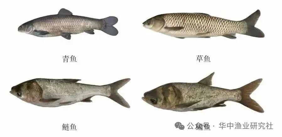 微信图片_2026-04-17_164836_680.jpg