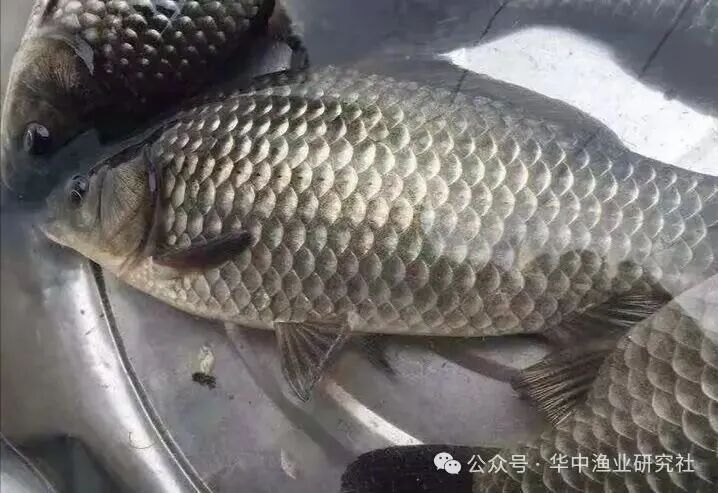 微信图片_2026-07-26_165124_276.jpg