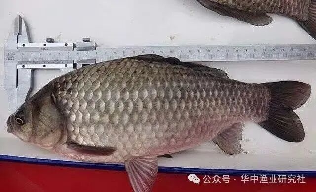 微信图片_2026-07-26_165127_780.jpg