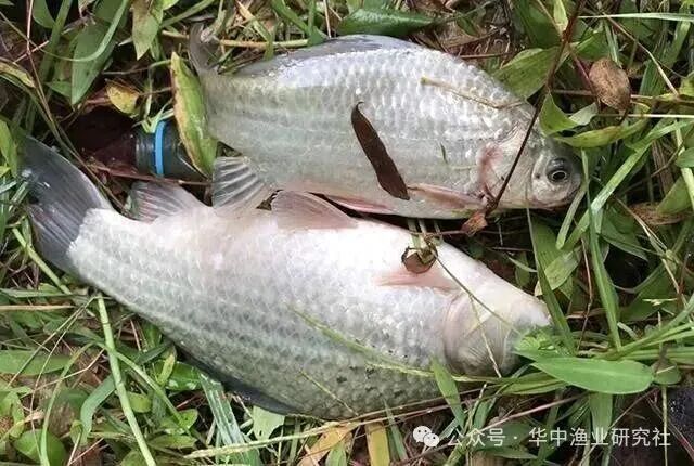 微信图片_2026-07-26_165138_733.jpg