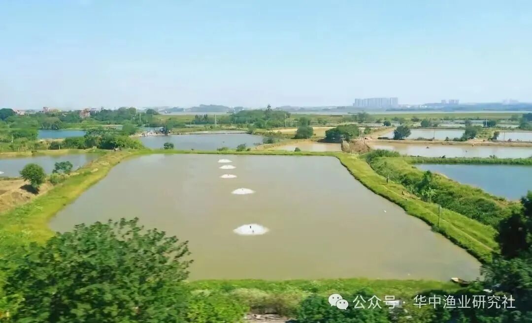 微信图片_2026-08-01_114335_894.jpg