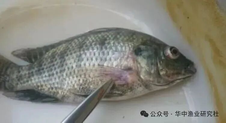 微信图片_2026-08-01_115121_873.jpg