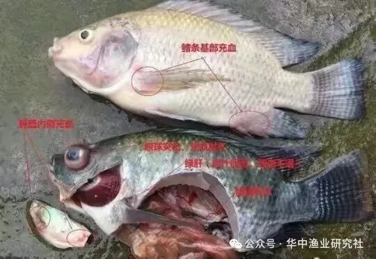 微信图片_2026-08-01_115128_618.jpg