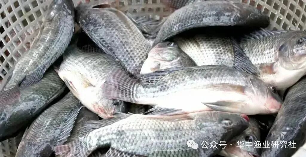微信图片_2026-08-01_115134_948.jpg