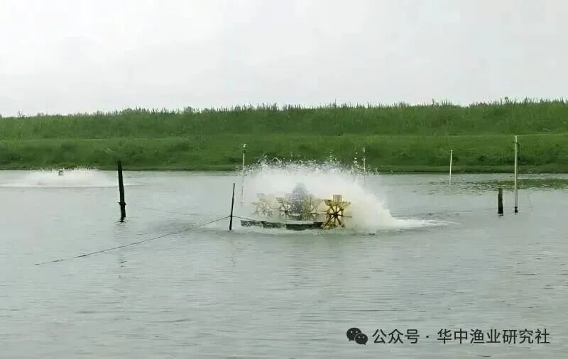 微信图片_2026-08-01_115140_952.jpg