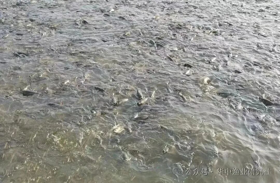 微信图片_2026-08-01_120042_334.jpg