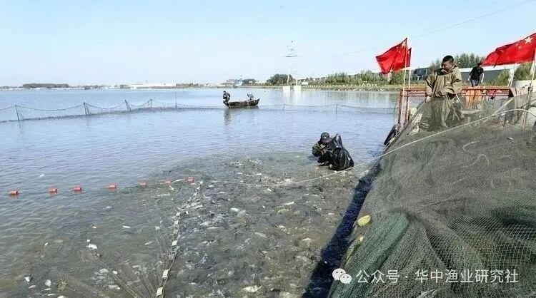 微信图片_2026-08-01_120101_090.jpg