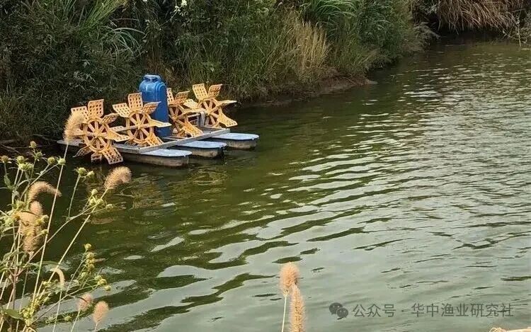 微信图片_2026-09-16_124053_756.jpg